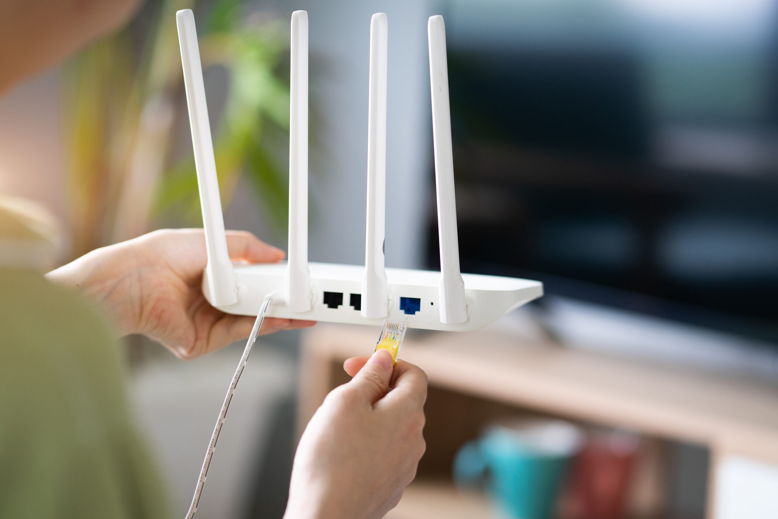 Learn about the router and the setup and login processes for it.